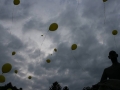 AMICA-Ionut Anghel (37)